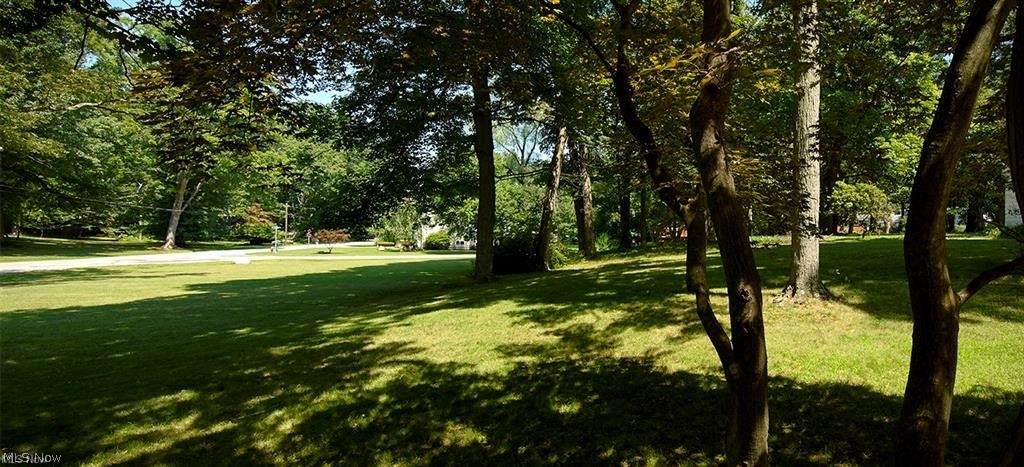 Lot 2-R Deidrick Road - Photo 1