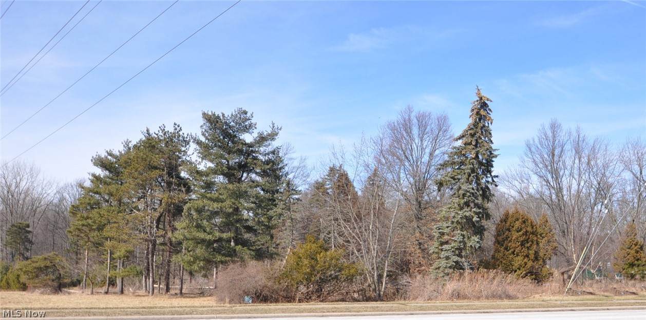 31134 Lorain Road - Photo 1
