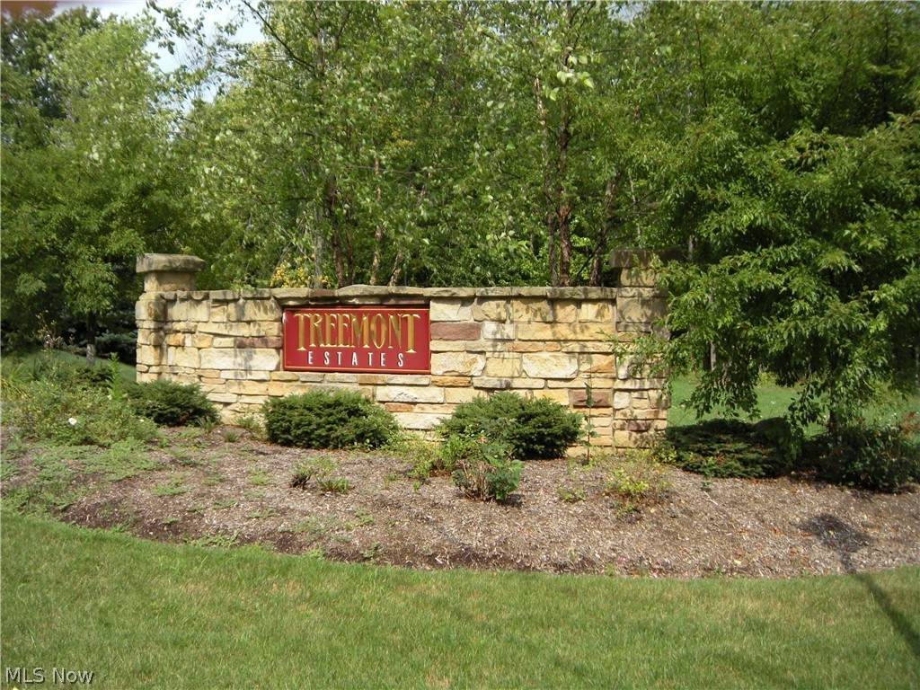 Birchmont Avenue - Photo 1