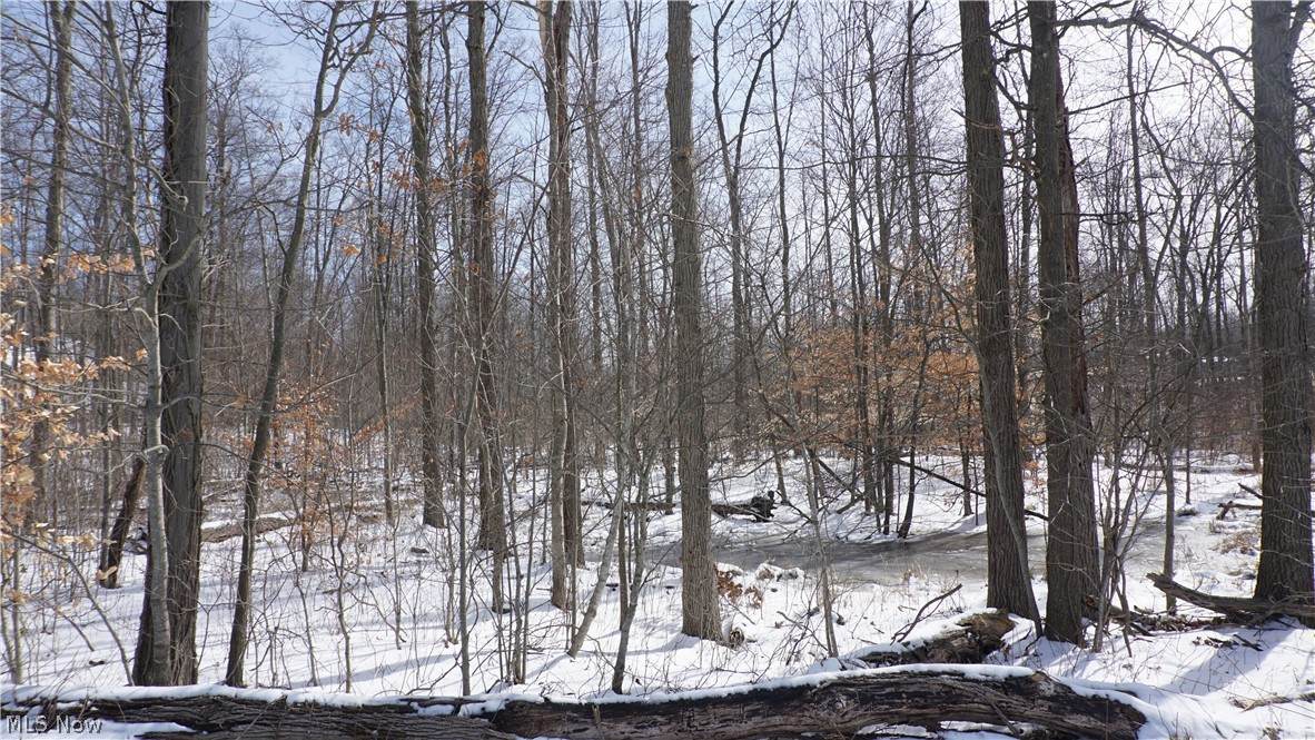 Lot 10 Wayland Road - Photo 1