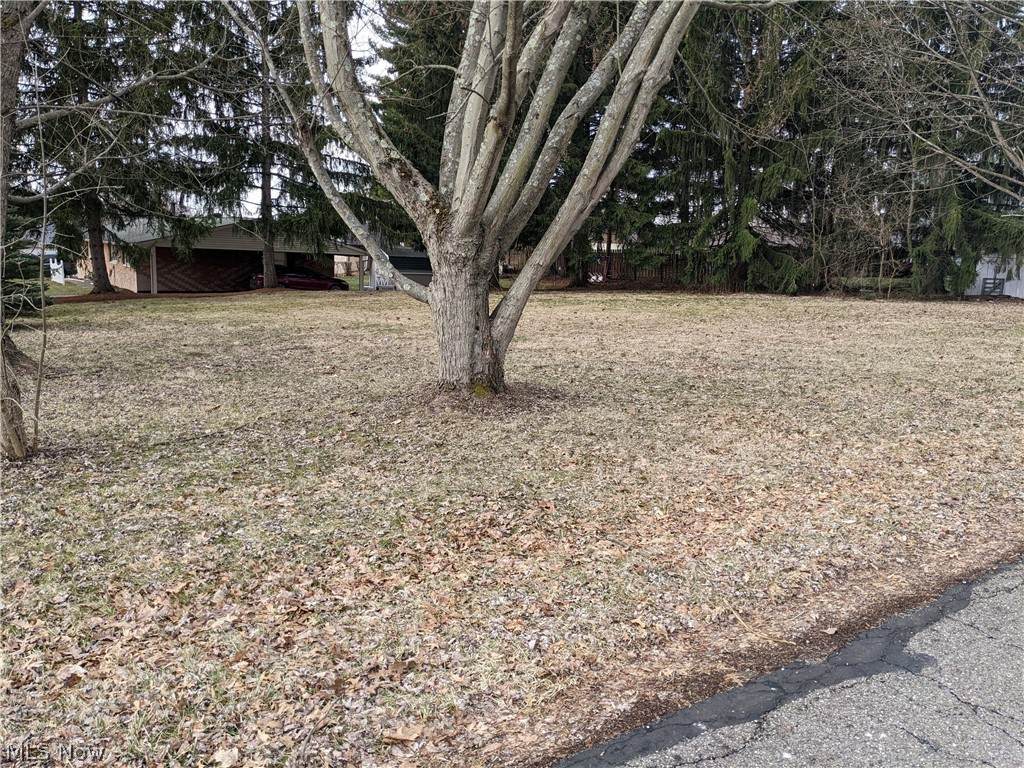 Fruitland Avenue - Photo 1