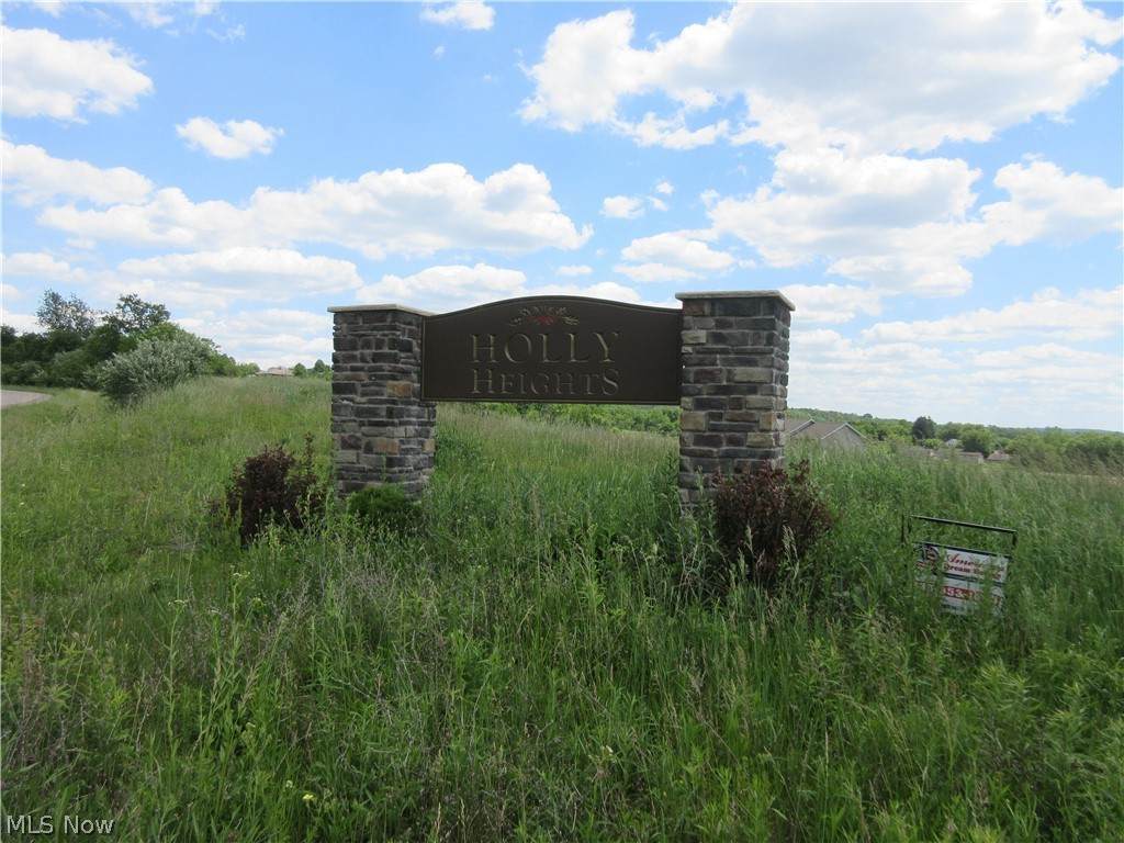10988 Madlyn Street - Photo 1