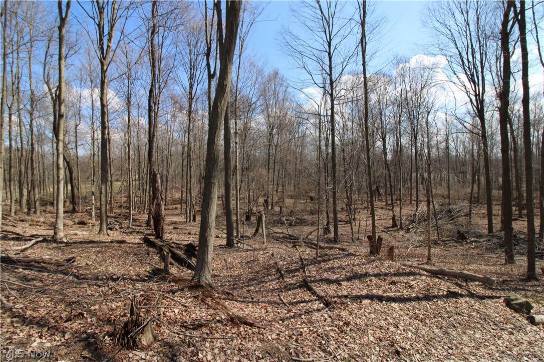 00N Creek Road - Photo 1