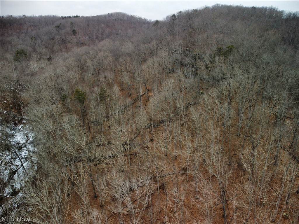0000 Hungry Creek Road - Photo 1