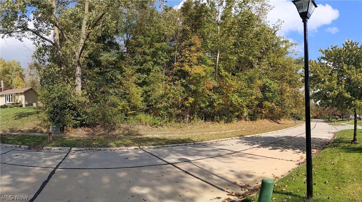 VL Deer Run Road - Photo 1