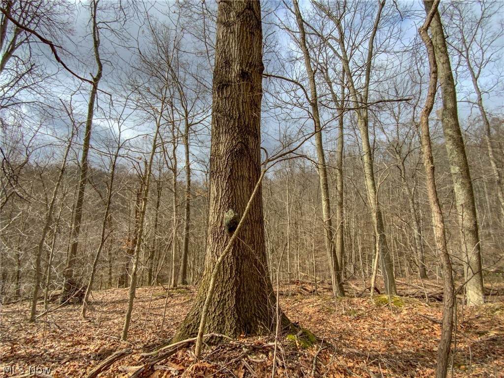 Don Wiley Road - Photo 1