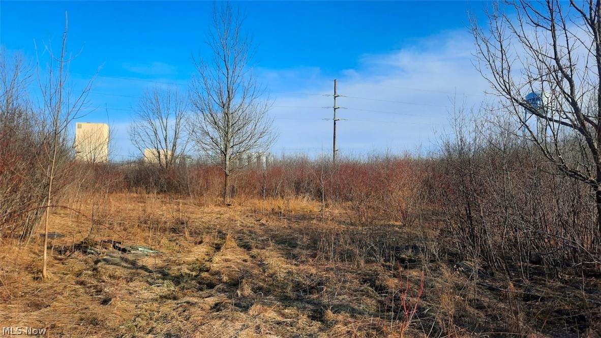 11435 Chamberlain Road - Photo 1