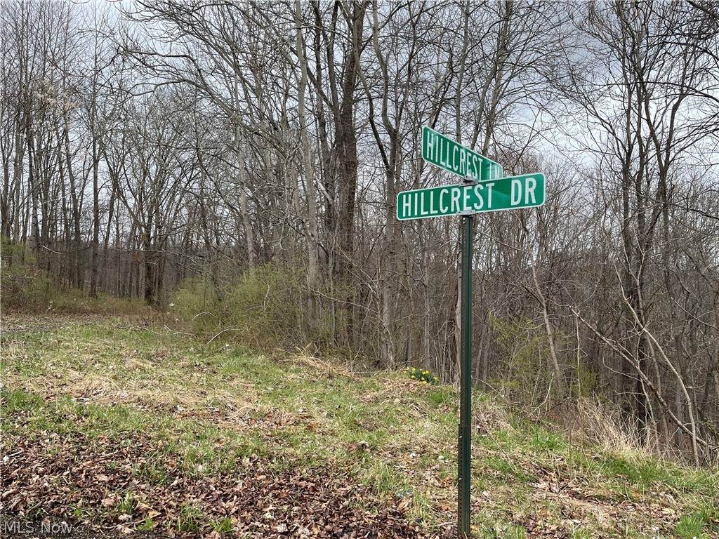 0 Hillcrest Drive - Photo 1