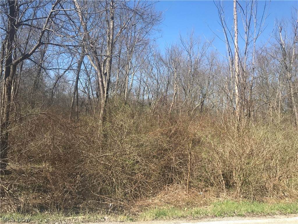 00 Beech Avenue - Photo 1
