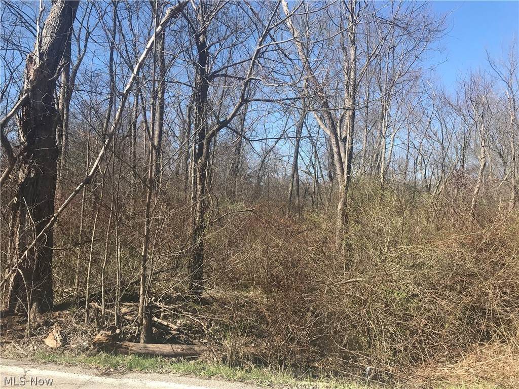 01 Beech Avenue - Photo 1