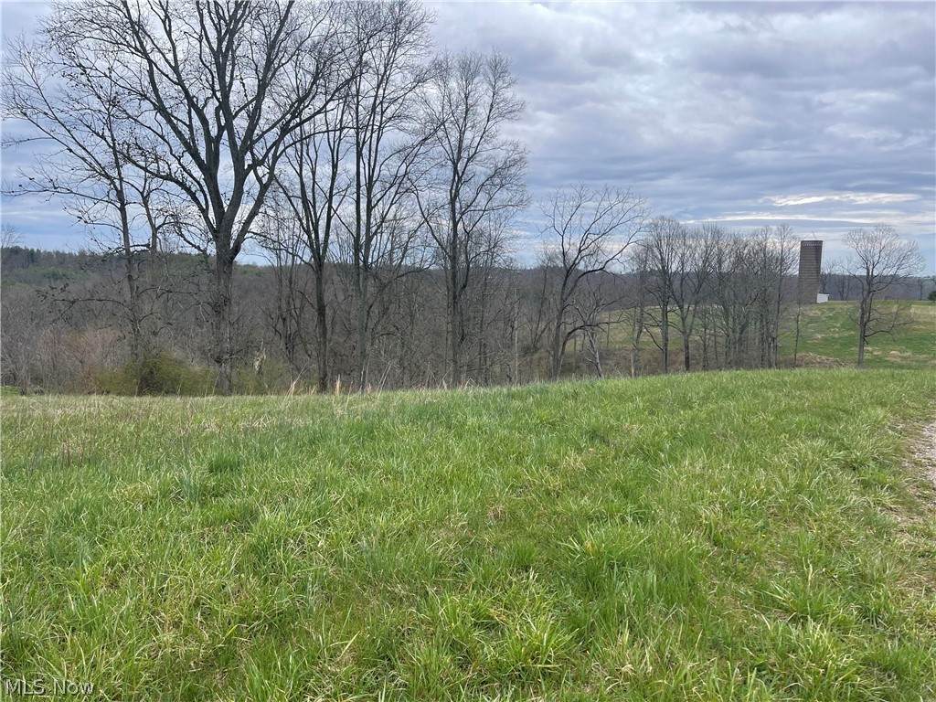 Mcinturf Road - Photo 1