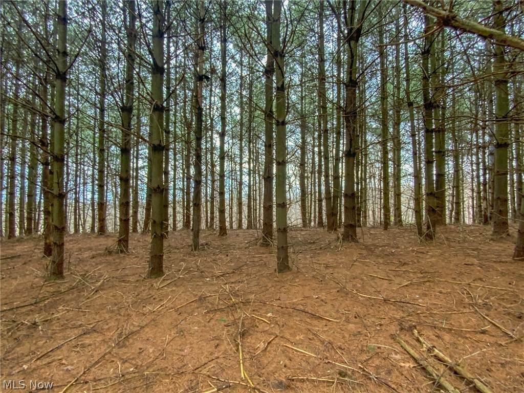 000 Twp Rd 3 - Photo 1