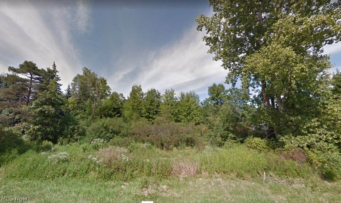 Lot J Pontius Road - Photo 1