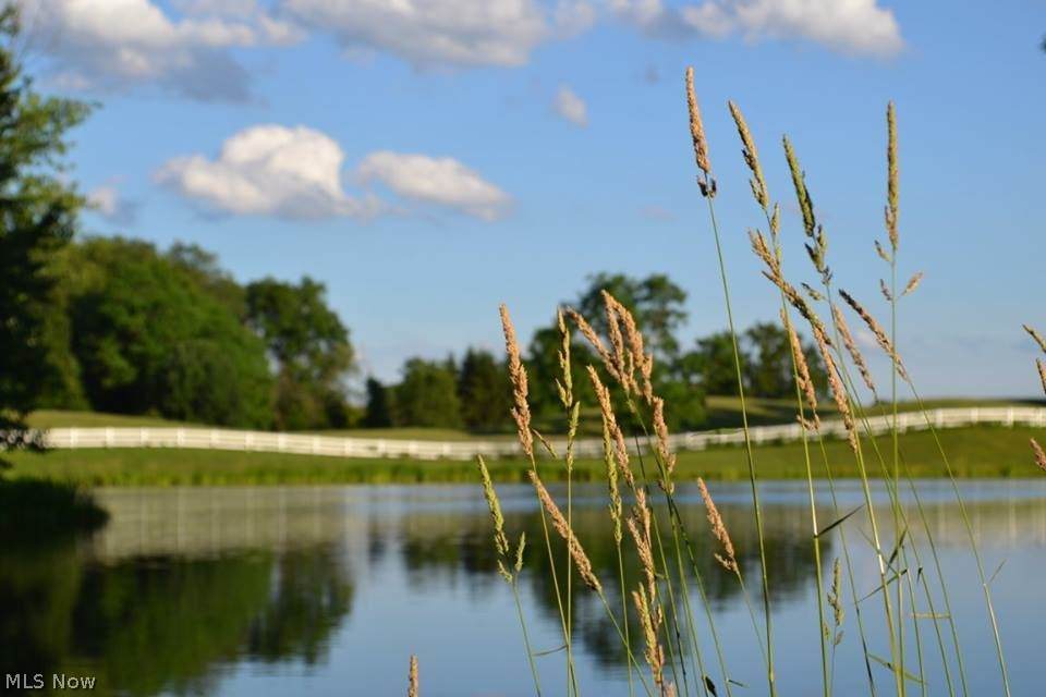White Pine Avenue - Photo 1