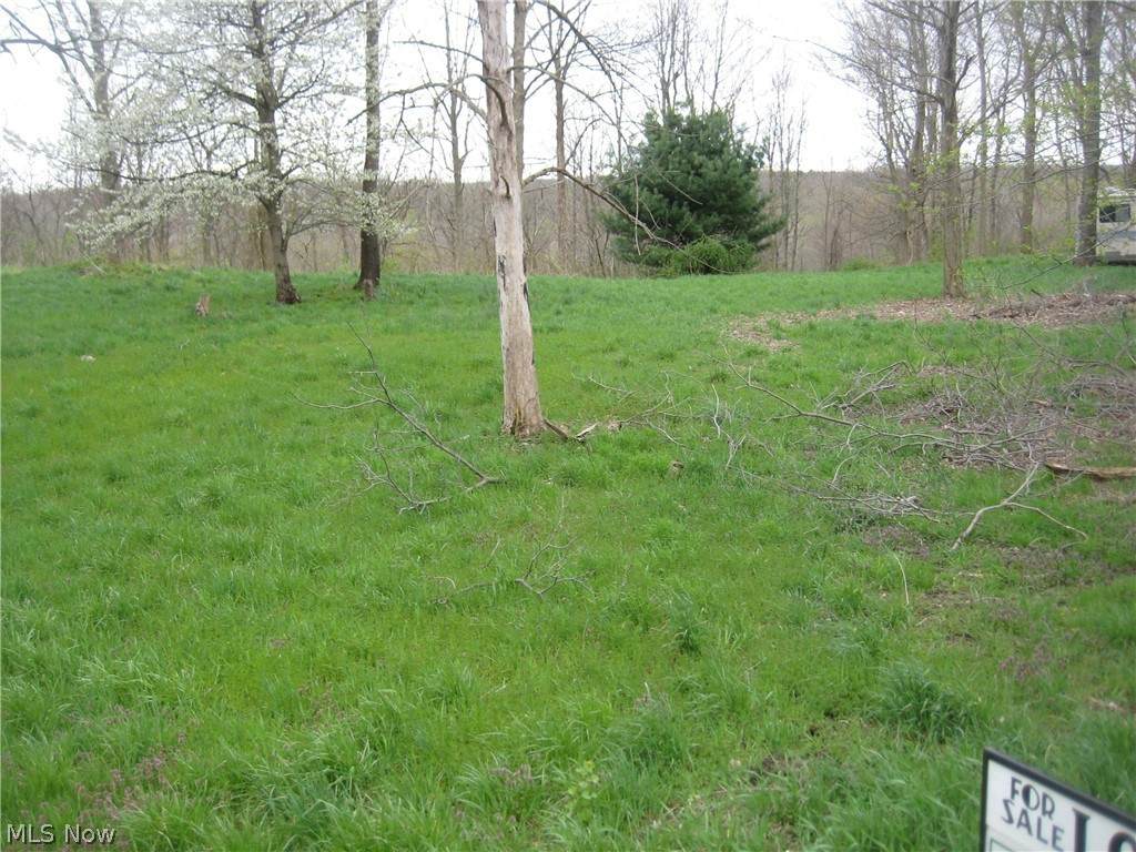 Johnnycake Ridge Road - Photo 1