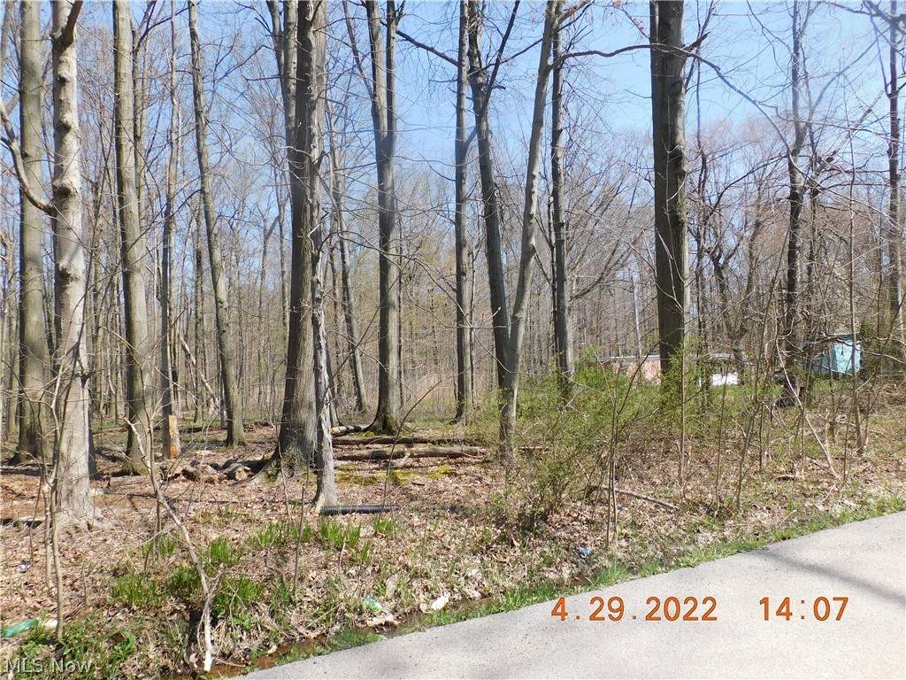 Fairfax Road - Photo 1