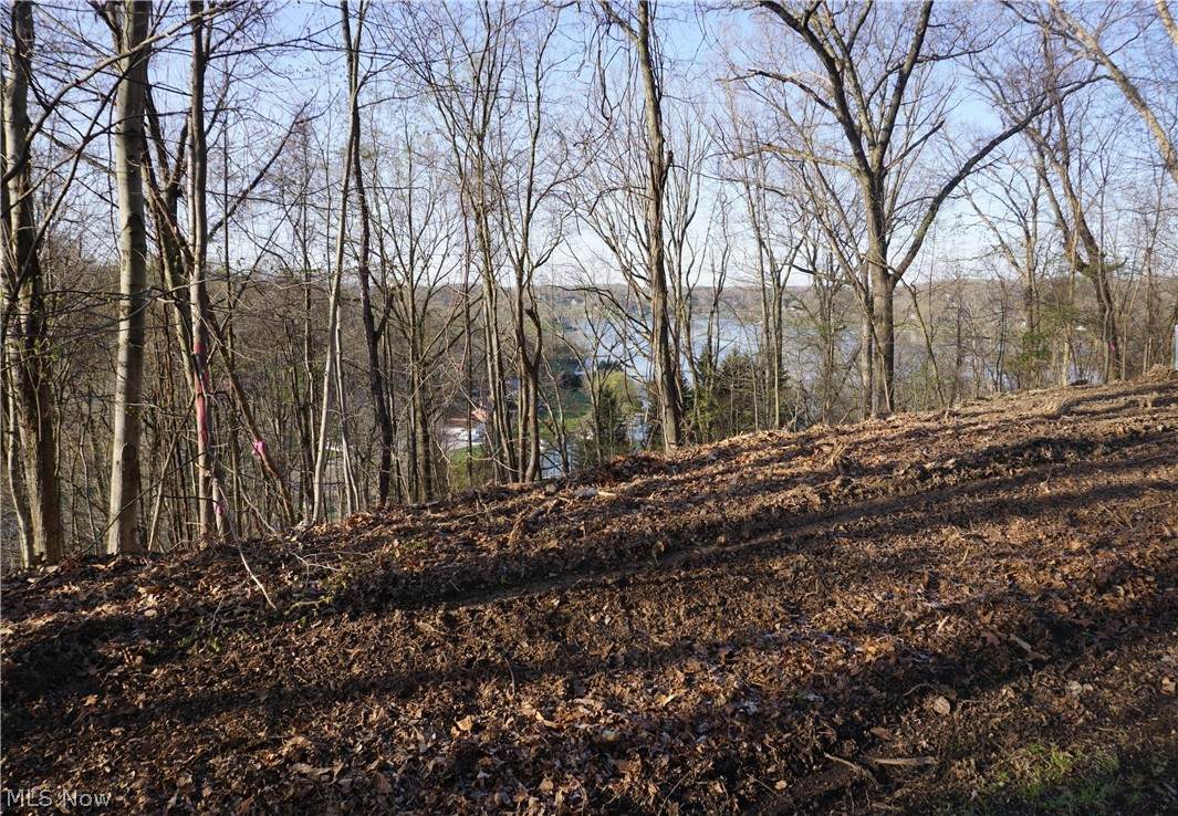 66 Oneida Trail - Photo 1