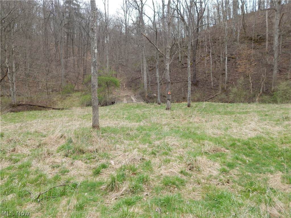617 Taylor Summers Road - Photo 1