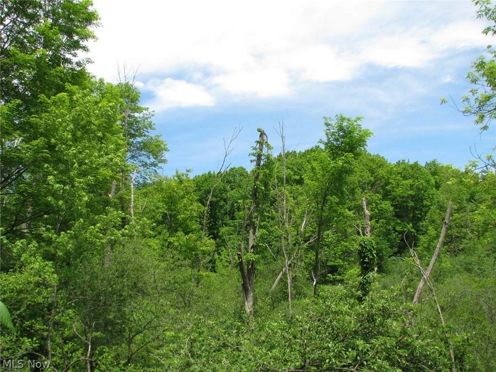 869 Garfield Road - Photo 1