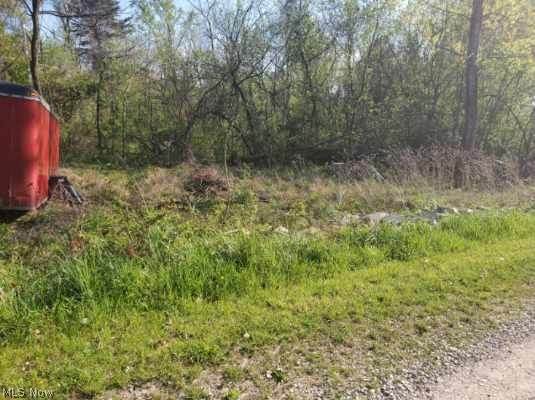 Spider Ridge Road - Photo 1