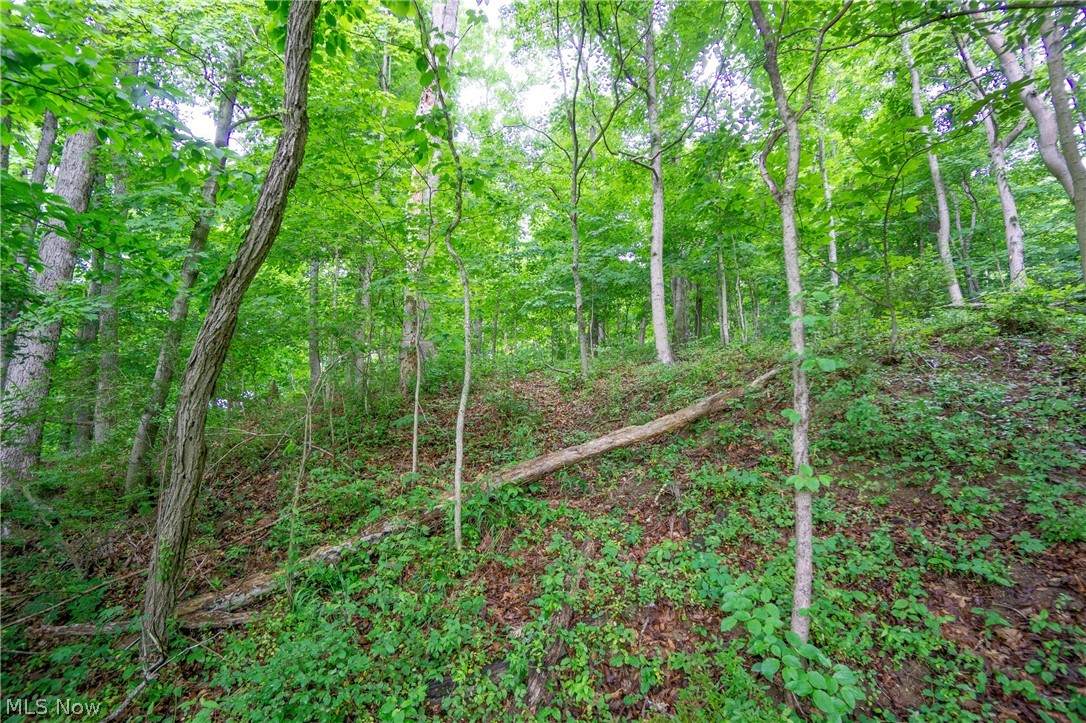 81 Township Road 158 - Photo 1