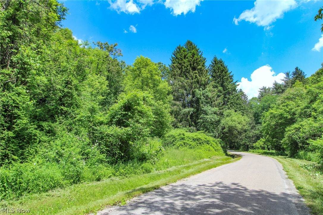1790 Coal Run Road - Photo 1