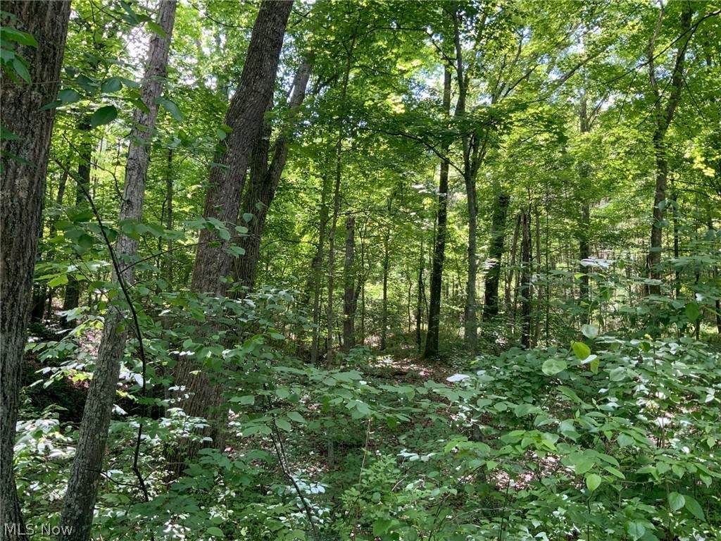 Bethel Road - Photo 1