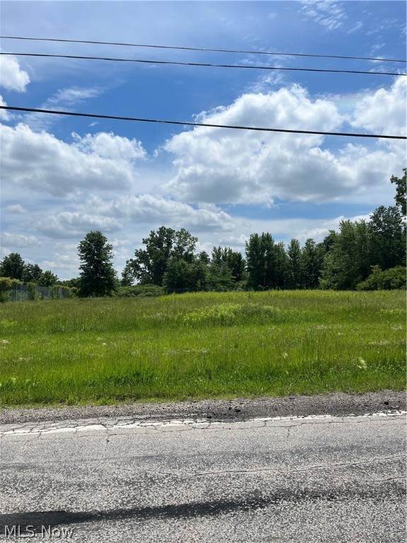 43569 Albrecht Road - Photo 1