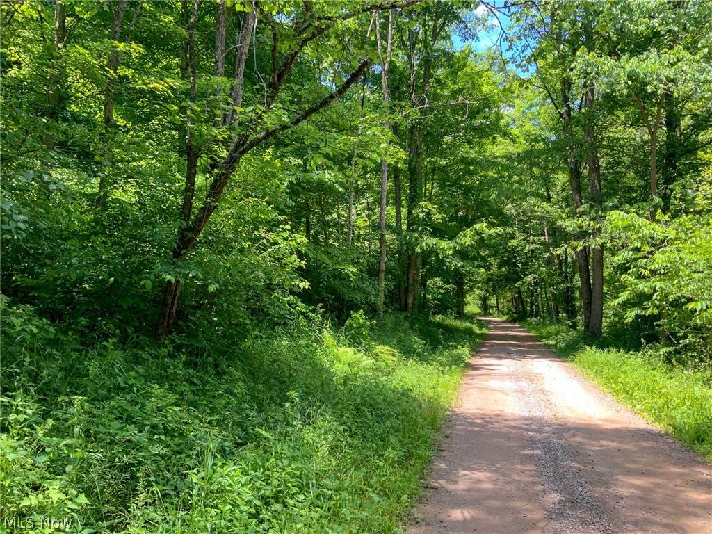 56400 Doles Road - Photo 1