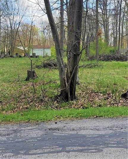 Blazey Trail - Photo 1