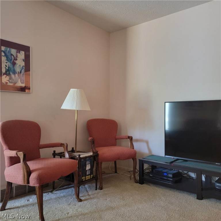 26837 Leenders Lane - Photo 1