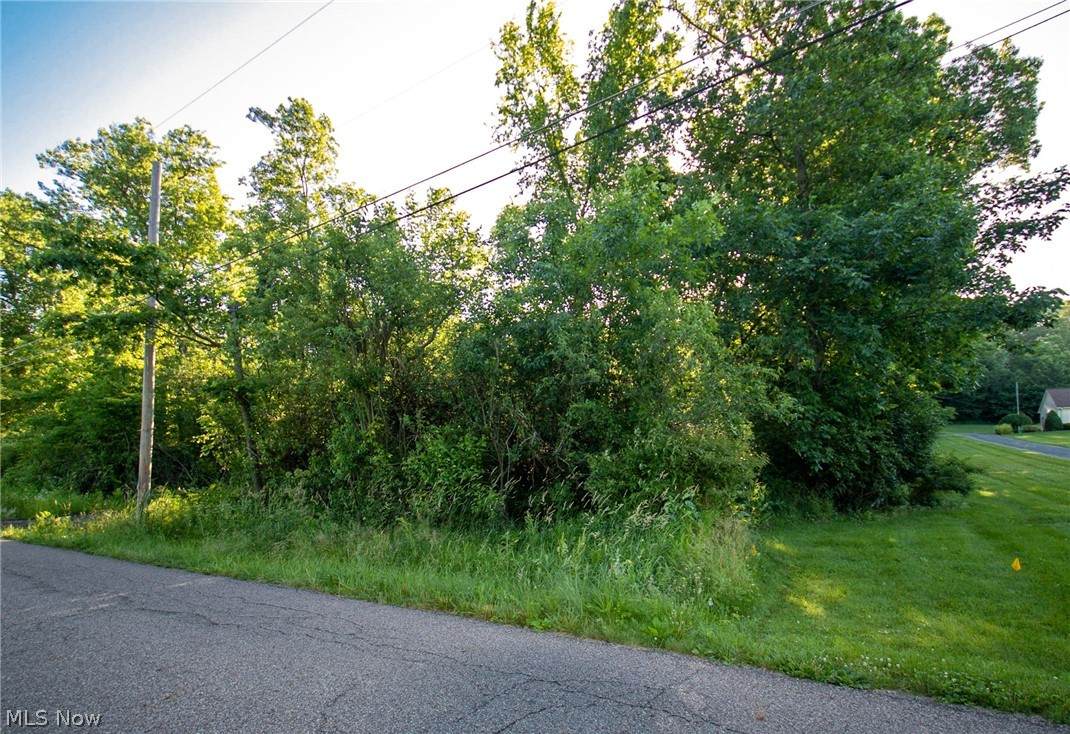 Blosser Road - Photo 1