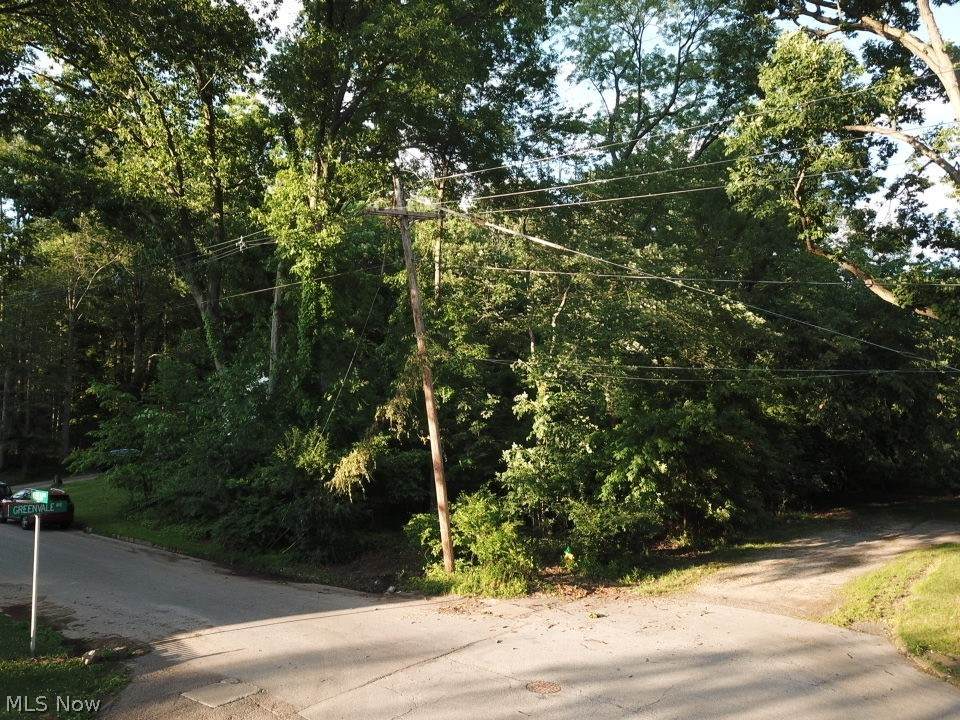 Vosello Avenue - Photo 1