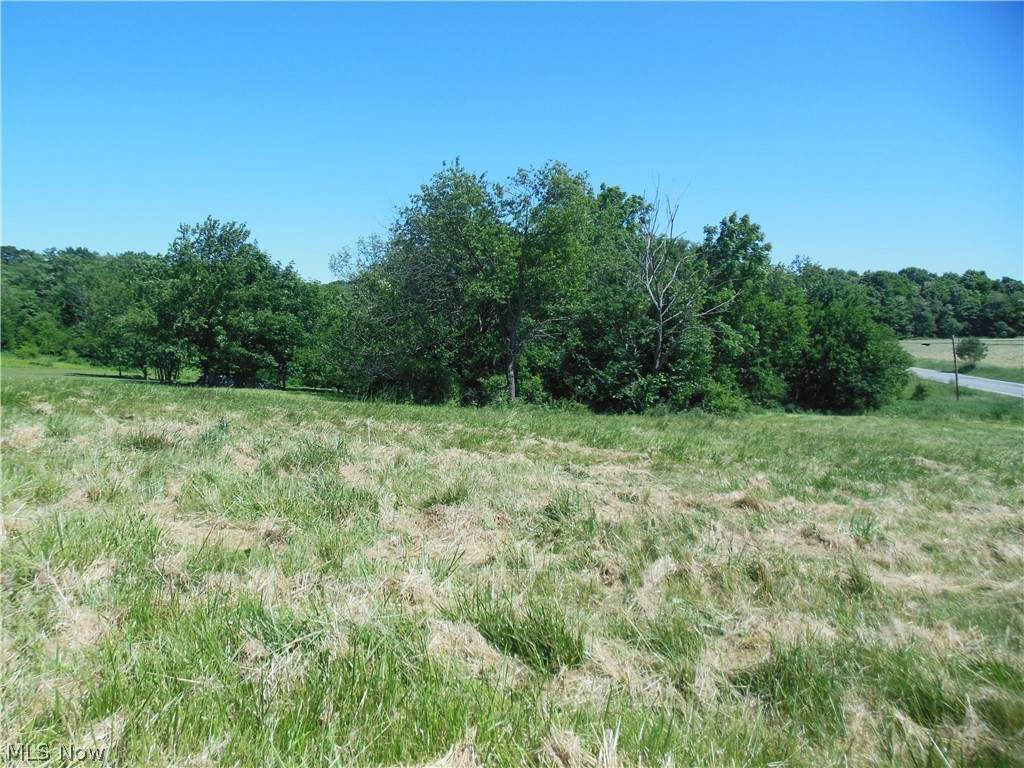 VL Chestnut Hill Drive - Photo 1