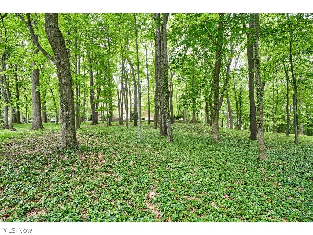 Lot 66 Stockbridge Road - Photo 1