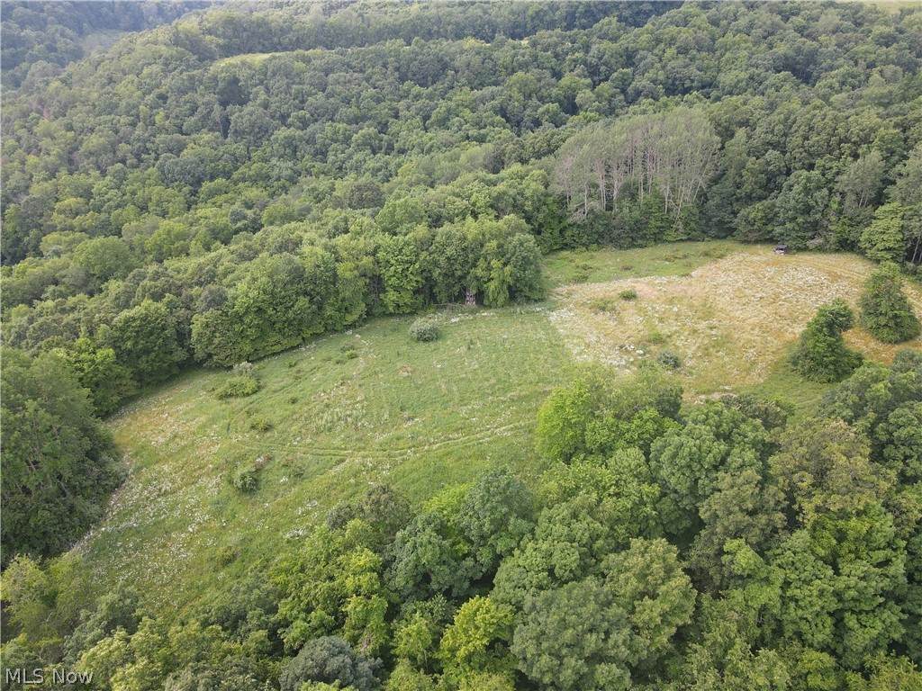 5016 County Road 22 - Photo 1