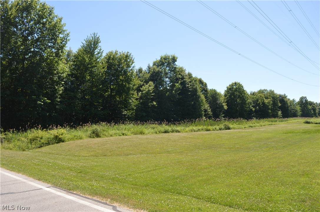 Lyntz Townline Road - Photo 1