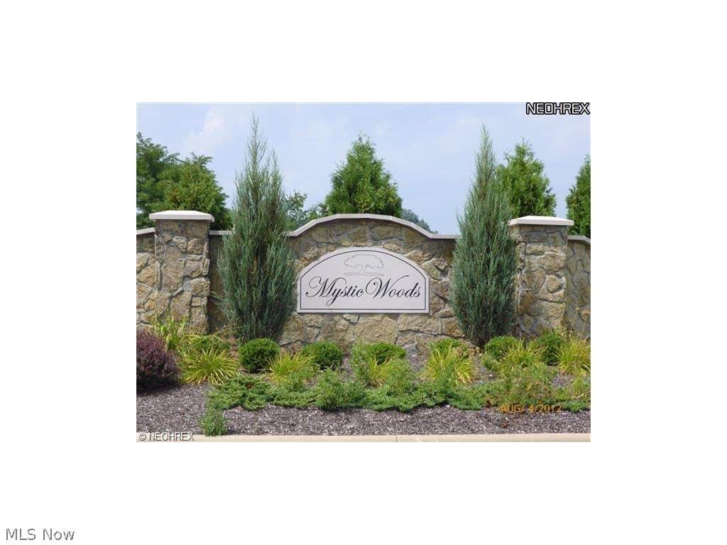 #10 Mystic Rock Road - Photo 1