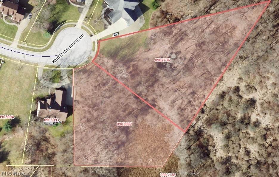 White Tail Ridge Drive - Photo 1