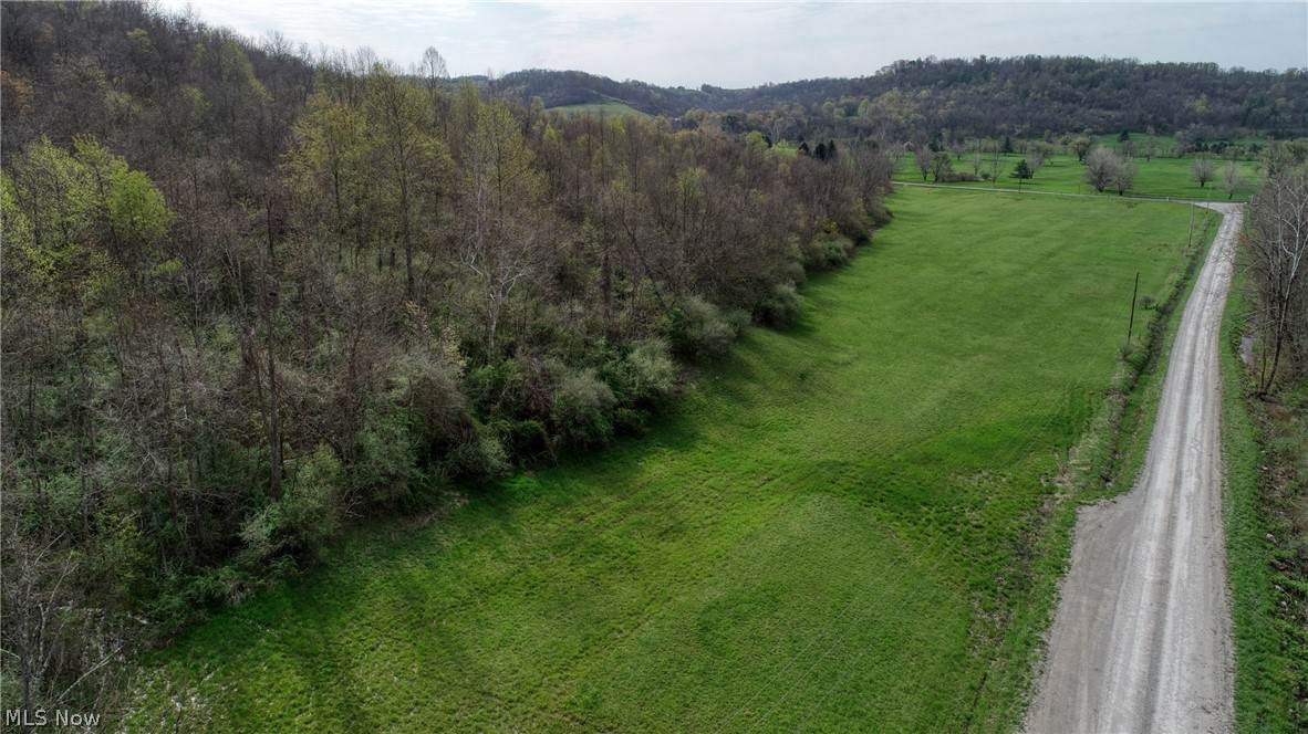 Seneca Lake & Sycamore - Photo 1