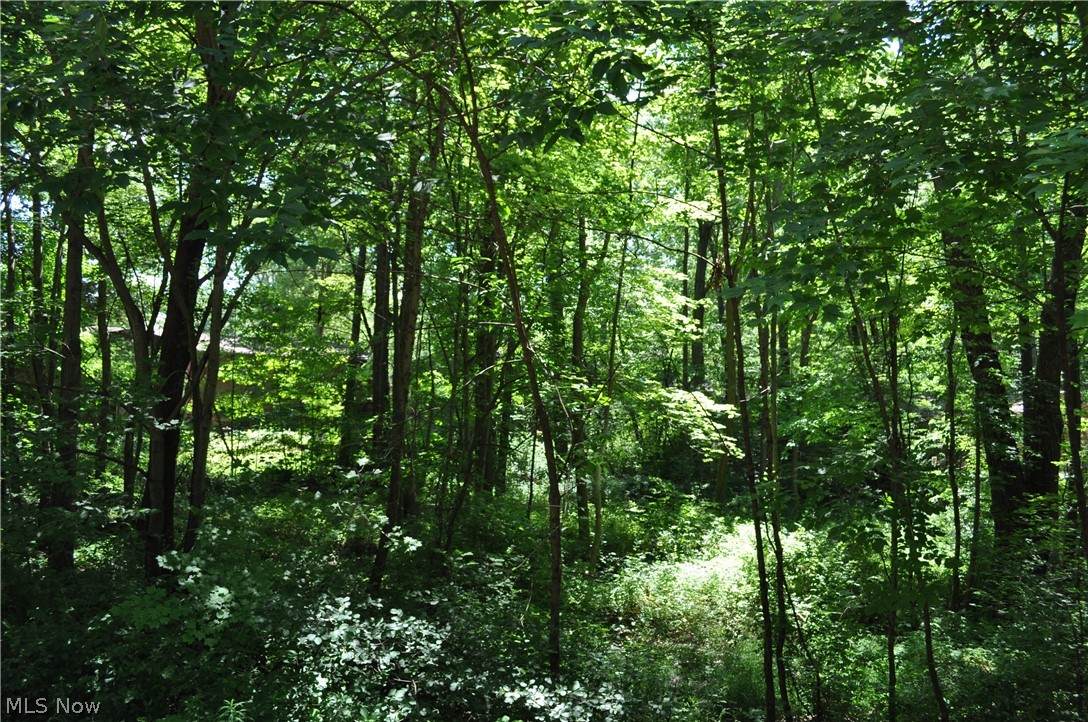 Ledgewood Boulevard - Photo 1
