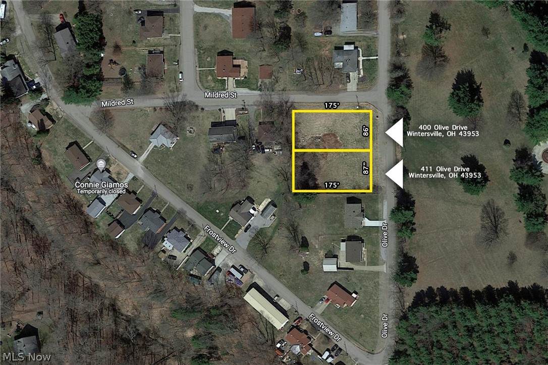 411 Olive Street - Photo 1