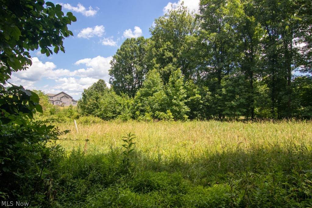 243 Medina Line Road - Photo 1