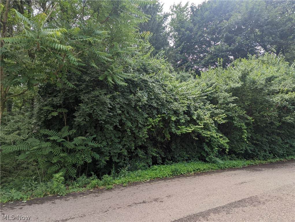 Alden Avenue - Photo 1