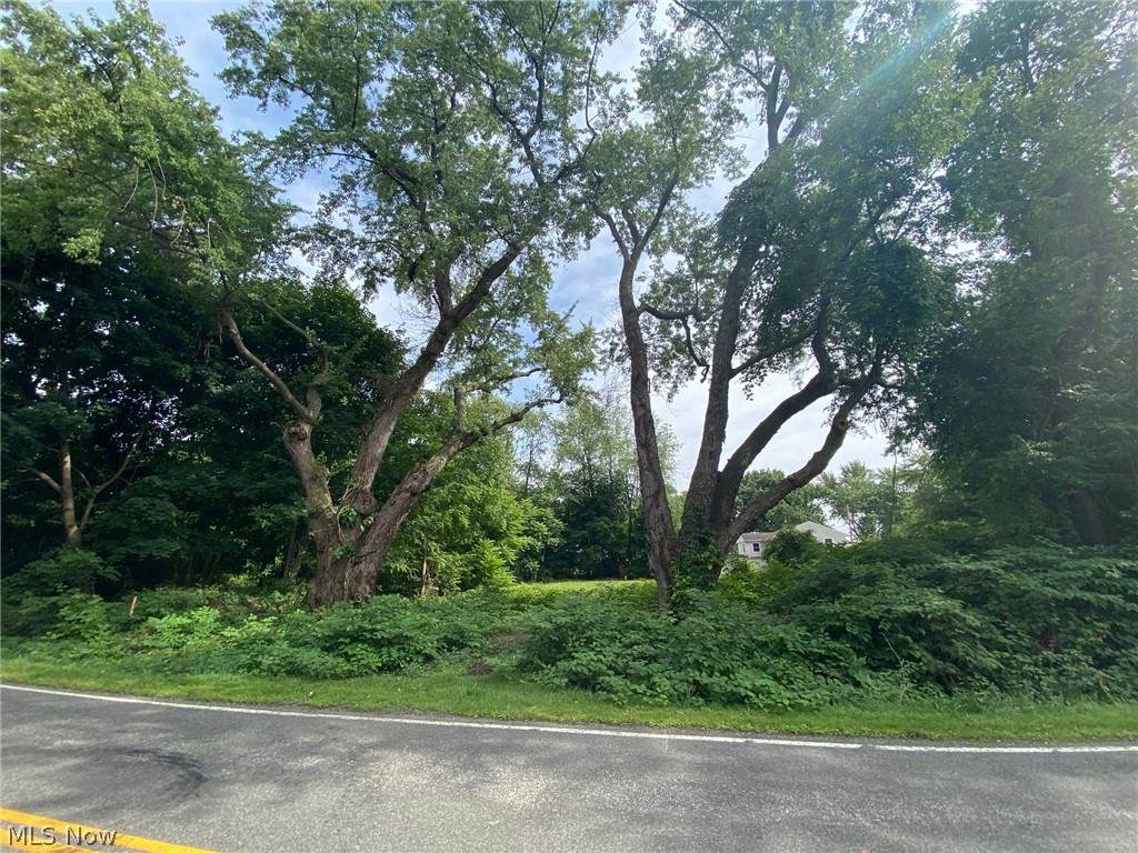 202 Warner Road - Photo 1