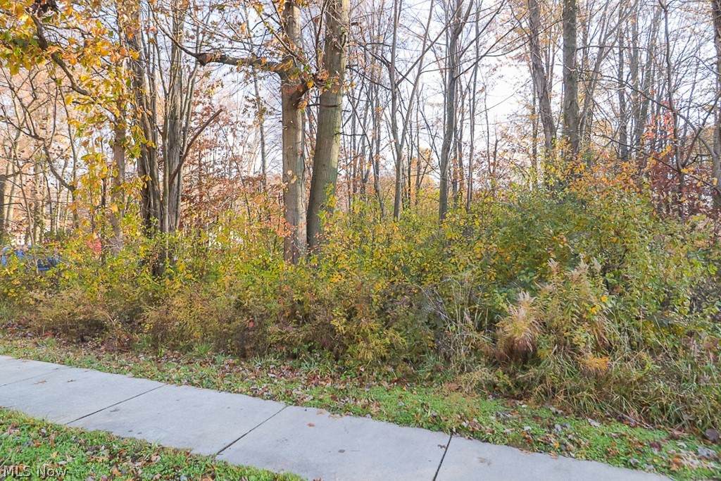 Ridgeview Boulevard - Photo 1