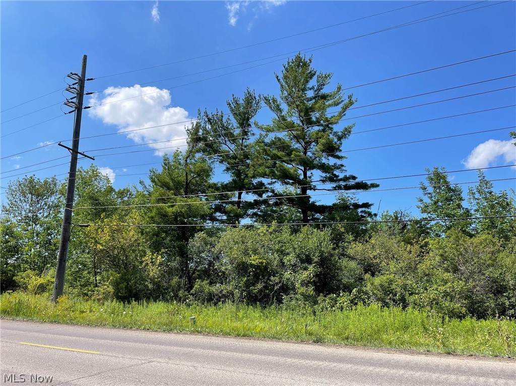 V/L Mayfield Rd. - Photo 1