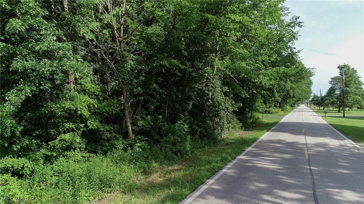Lyntz Townline Road - Photo 1