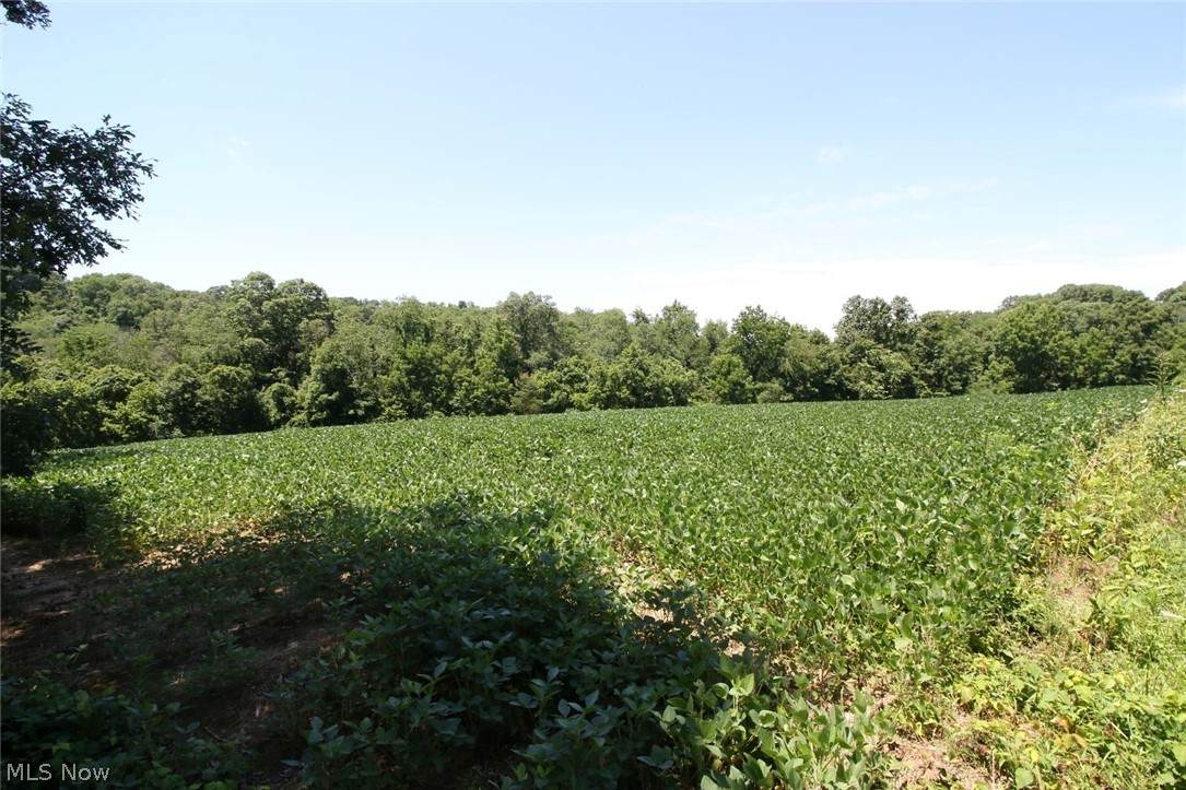 0 Perine Road - Lot W - Photo 1