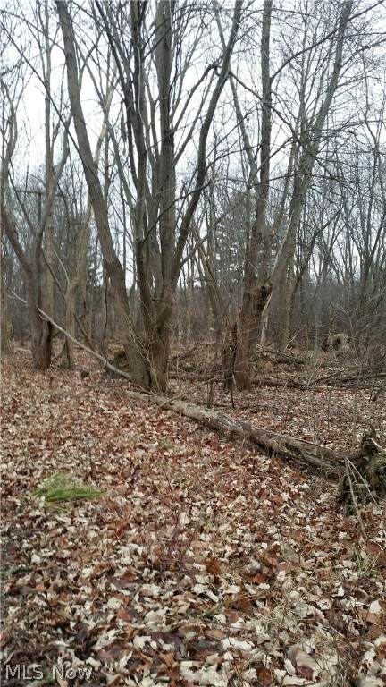 Royalton Road - Photo 1